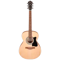 Акустическая гитара Ibanez VC50NJP NT 4/ 4, Dreadnought, Натуральный
