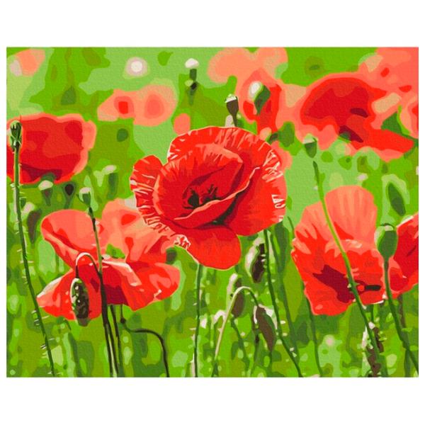 Картина по номерам BrushMe Красные маки 50 x 40 см/ Горизонтальная photo 1 Картина по номерам BrushMe Красные маки 50 x 40 см/ Горизонтальная photo 1