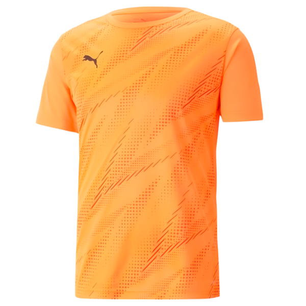 Футболка для мужчин Puma Individualrise Graphic Tee 100% полиэстер/ Оранжевый photo 1