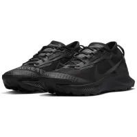 Кроссовки для женщин Nike Pegasus Trail 3 GORE-TEX Осень/ Черный