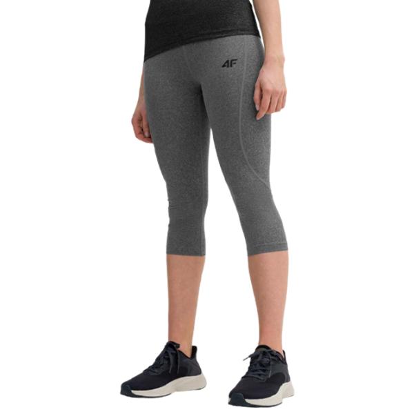 Тайтсы для женщин 4F 4FSS23TFTIF076 M/ Серый photo 1