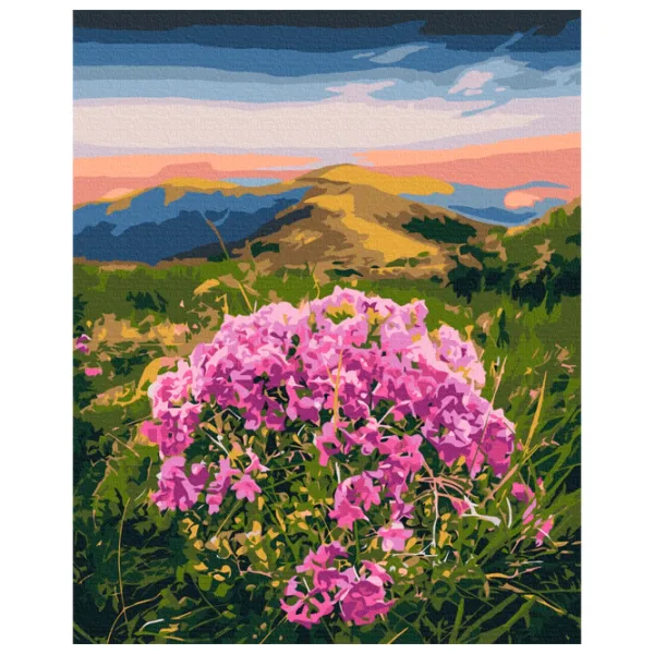 Pictură pe numere BrushMe Floare de Carpați 50 x 40 cm/ Verticală photo 1 Pictură pe numere BrushMe Floare de Carpați 50 x 40 cm/ Verticală photo 1