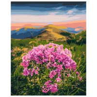 Картина по номерам BrushMe Цветение Карпат 50 x 40 см/ Вертикальная