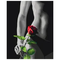 Картина по номерам BrushMe Элегантный акцент 50 x 40 см/ Вертикальная