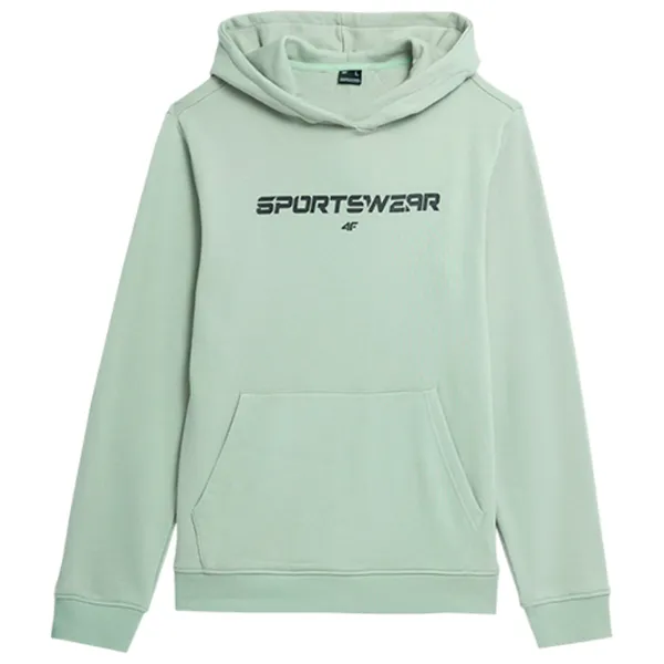 Hanorac pentru bărbați 4F 4FAW23TSWSM0773 Drept/ Turquoise photo 1