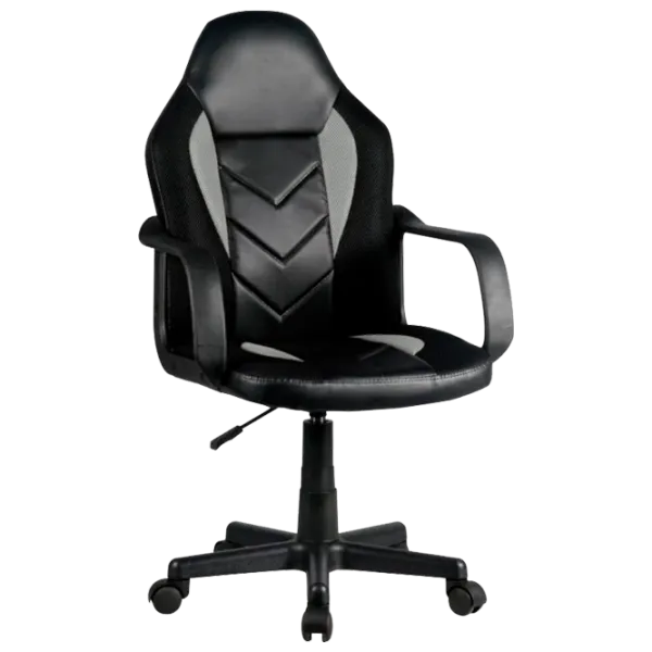 Scaun Gaming Akord F4G FG-C18 Gray Black photo 1