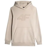 Hanorac pentru bărbați 4F 4FRAW23TSWSM1140 Drept/ Grey