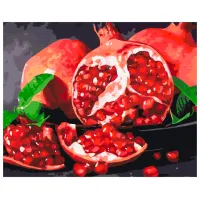 Картина по номерам BrushMe Сочный гранат 50 x 40 см/ Горизонтальная