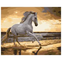 Картина по номерам BrushMe Бег рысью на побережье 50 x 40 см/ Горизонтальная