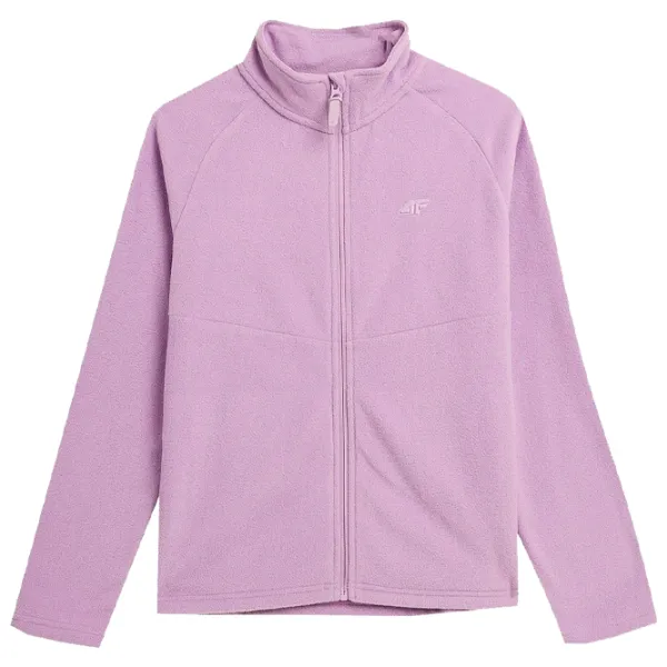 Hanorac pentru femei 4F REGULAR FLEECE WITH STAND-UP COLLAR Toamnă - iarnă/ Violet photo 1