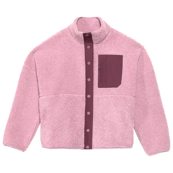 Hanorac pentru femei 4F SHERPA FLEECE WITH STAND-UP COLLAR Toamnă - iarnă/ Pink photo 1