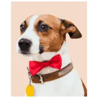 Картина по номерам BrushMe Собачка чемпион 50 x 40 см/ Вертикальная