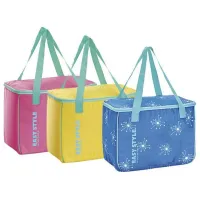 Сумка-холодильник GioStyle Easy Style 23 л/ Разноцветный