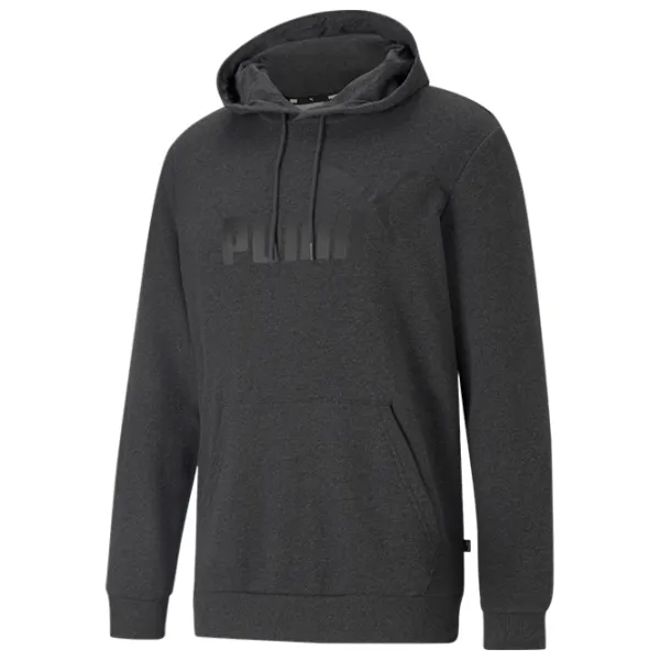 Hanorac pentru bărbați Puma Ess Big Logo Hoodie Tr Drept/ Gray photo 1