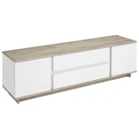 Тумба под телевизор MG-Plus Concept 2D2S 46.2см x 160см x 40см/ ДСП