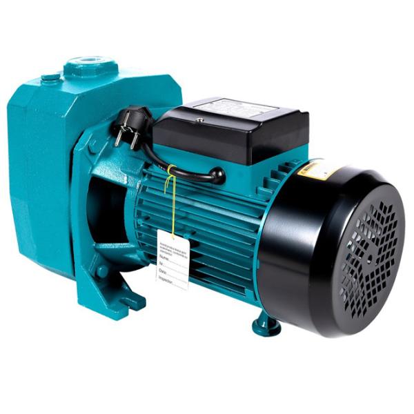 Поверхностный насос Micul Fermier DP750A 1500 Вт 10800 л/ ч photo 1