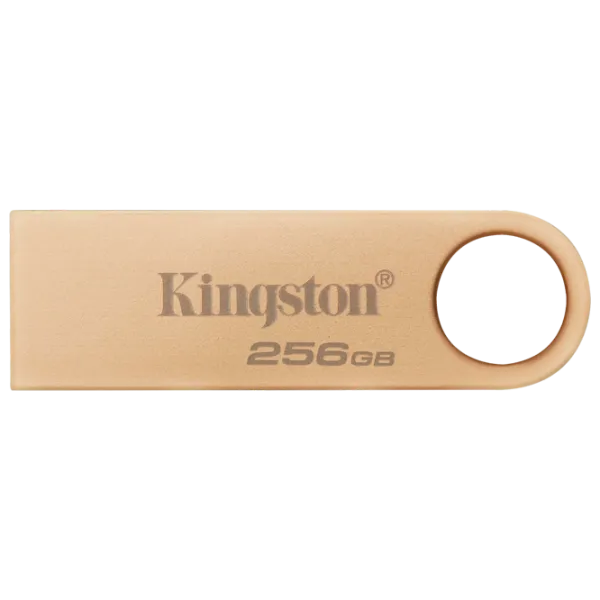 Kingston DataTravel SE9 G3 256 ГБ Золото photo 1