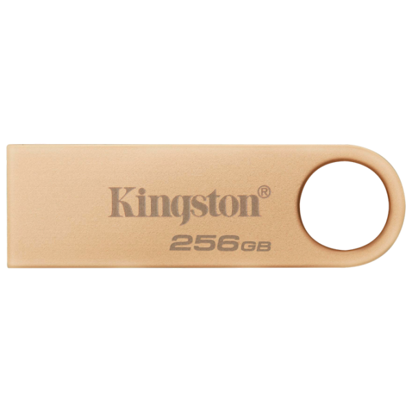 Kingston DataTravel SE9 G3 256 ГБ Золото photo 1