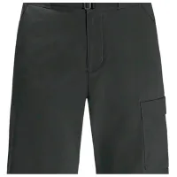 Pantaloni scurți pentru bărbați Jack Wolfskin Wanderthirst Shorts M S/ Gray