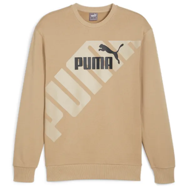 Толстовка для мужчин Puma Power Graphic Crew Tr Прямой/ Бежевый photo 1