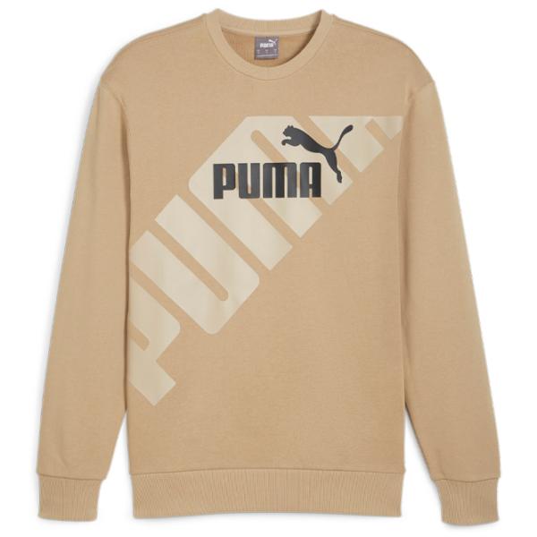 Hanorac pentru bărbați Puma Power Graphic Crew Tr Drept/ Beige photo 1