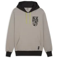 Hanorac pentru bărbați Puma Posterize 2.0 Drept/ Gray