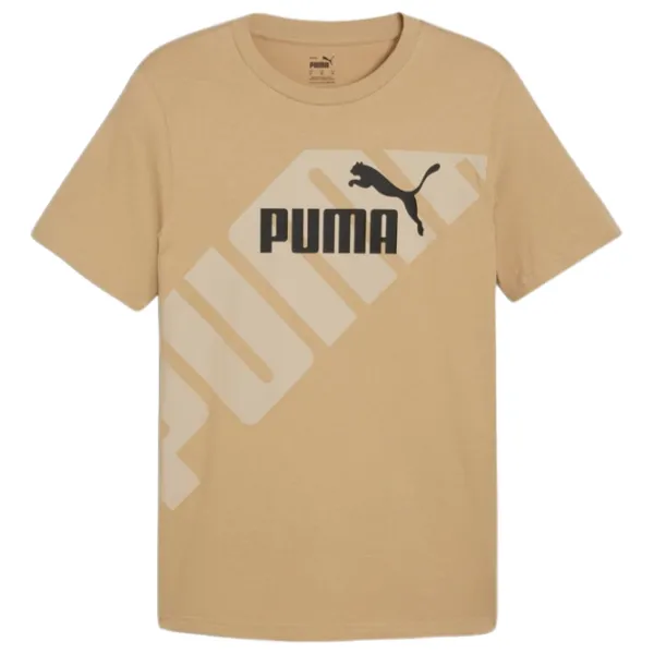 Tricou pentru bărbați Puma Power Graphic Tee 100% bumbac/ Prairie Tan photo 1