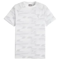 Tricou pentru bărbați Puma Evostripe Aop Tee 65% poliester , 35% viscoză/ White