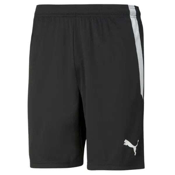Șorțuri sport Puma teamLIGA Shorts S photo 1