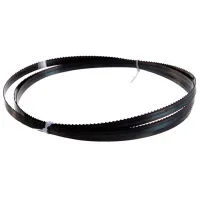 Pânză Holzmann 3412168 