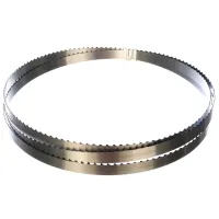 Pânză Holzmann 3412131 