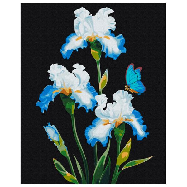 Картина по номерам BrushMe Ирисы 50 x 40 см/ Вертикальная photo 1