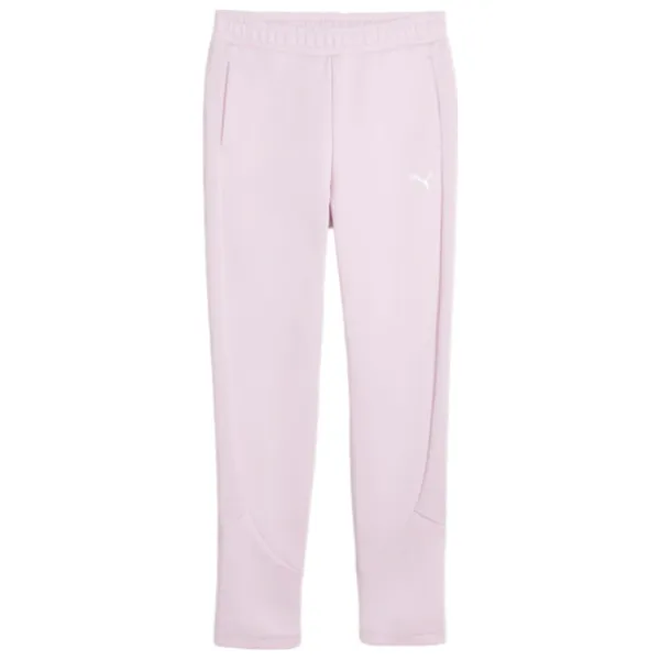 Спортивные штаны для женщин Puma Evostripe High-Waist Pants S/ Grape Mist photo 1