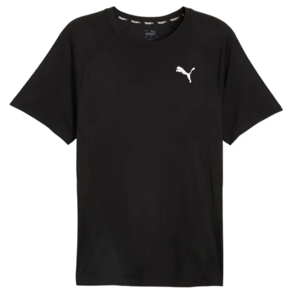 Футболка для мужчин Puma Train All Day Tee 100% полиэстер/ Черный photo 1
