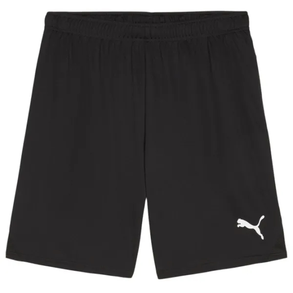 Șorțuri sport Puma Teamgoal Shorts L photo 1
