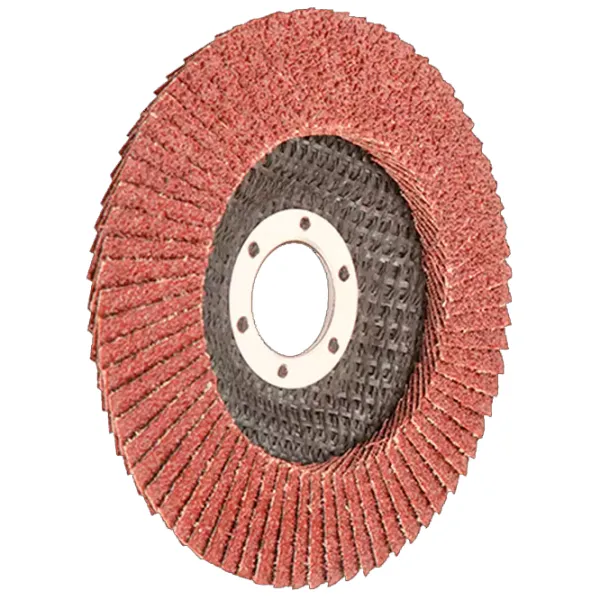 Disc lamelar Wokin 775112  photo 1