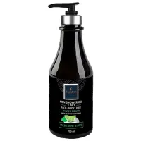 Гель для душа Famirel Winter Power 3in1 Для него