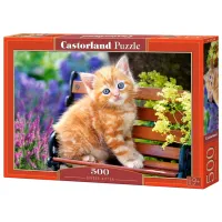 Puzzle 2D Castorland 500 Ginger Kitten 9+/ Numărul de piese: 500