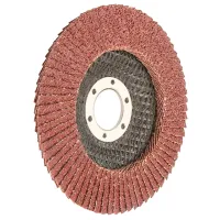 Disc lamelar Wokin 775008 