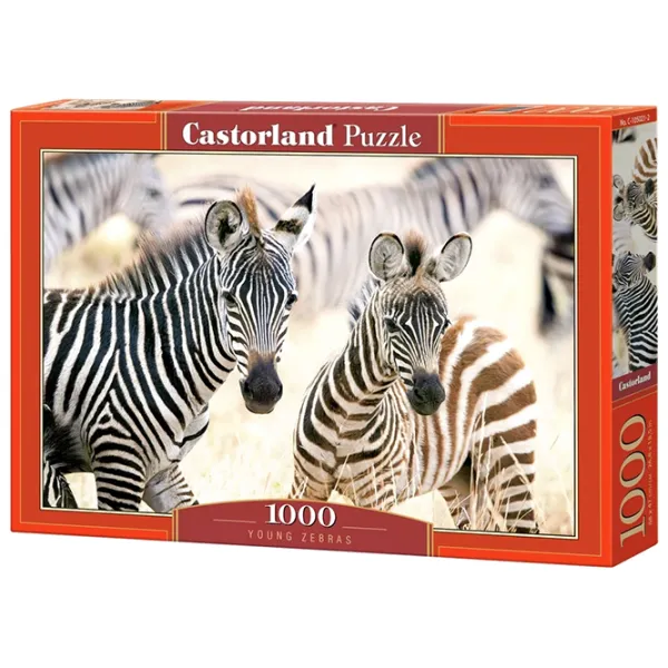 Puzzle 2D Castorland 1000 Young Zebras 9+/ Numărul de piese: 1000 photo 1