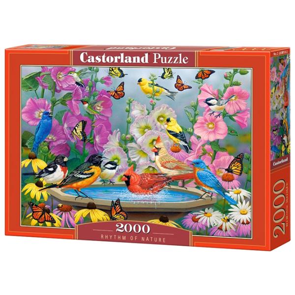 Puzzle 2D Castorland 2000 Rhythm of Nature 9+/ Numărul de piese: 2000 photo 1