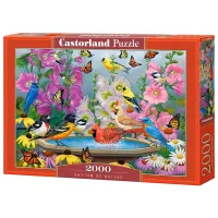 Puzzle 2D Castorland 2000 Rhythm of Nature 9+/ Numărul de piese: 2000