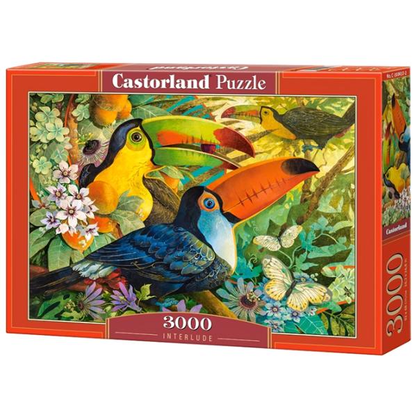 Puzzle 2D Castorland 3000 Interlude 9+/ Numărul de piese: 3000 photo 1