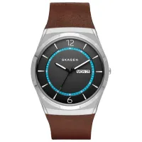 Ceas de mână pentru bărbați Skagen SKW6305 Cuarț/ 40 mm
