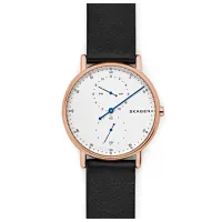 Наручные часы для мужчин Skagen SKW6390 Кварцевый/ 40 мм