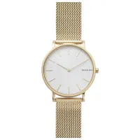 Наручные часы для мужчин Skagen SKW6443 Кварцевый/ 38 мм