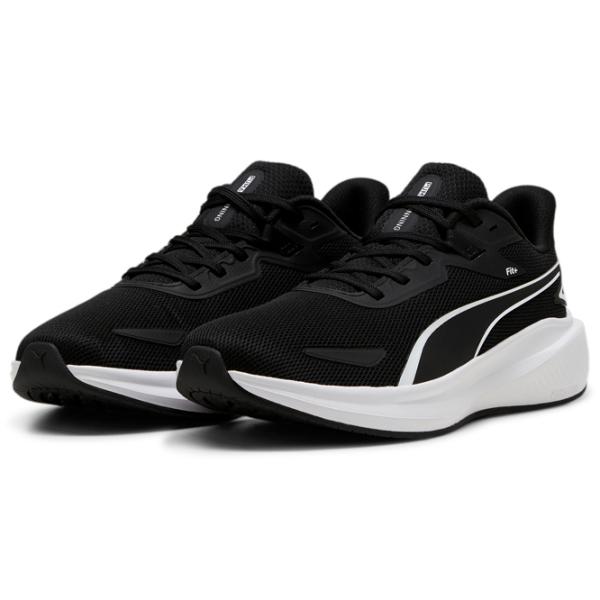 Кроссовки для мужчин Puma Skyrocket Lite 47/ Black White photo 1