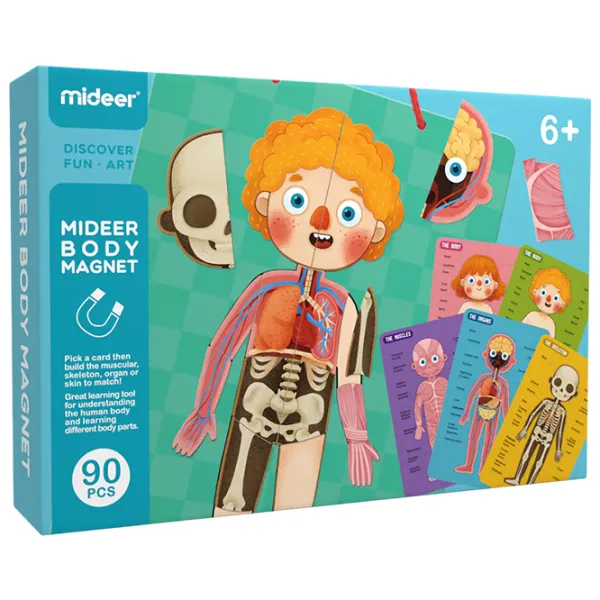 Puzzle 2D Mideer Corpul uman 6+/ Numărul de piese: 90 photo 1