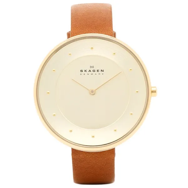 Наручные часы для женщин Skagen SKW2138 Кварцевый/ 38 мм photo 1 Наручные часы для женщин Skagen SKW2138 Кварцевый/ 38 мм photo 1