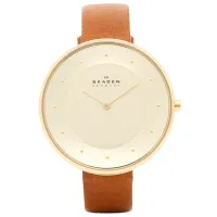 Ceas de mână pentru femei Skagen SKW2138 Cuarț/ 38 mm